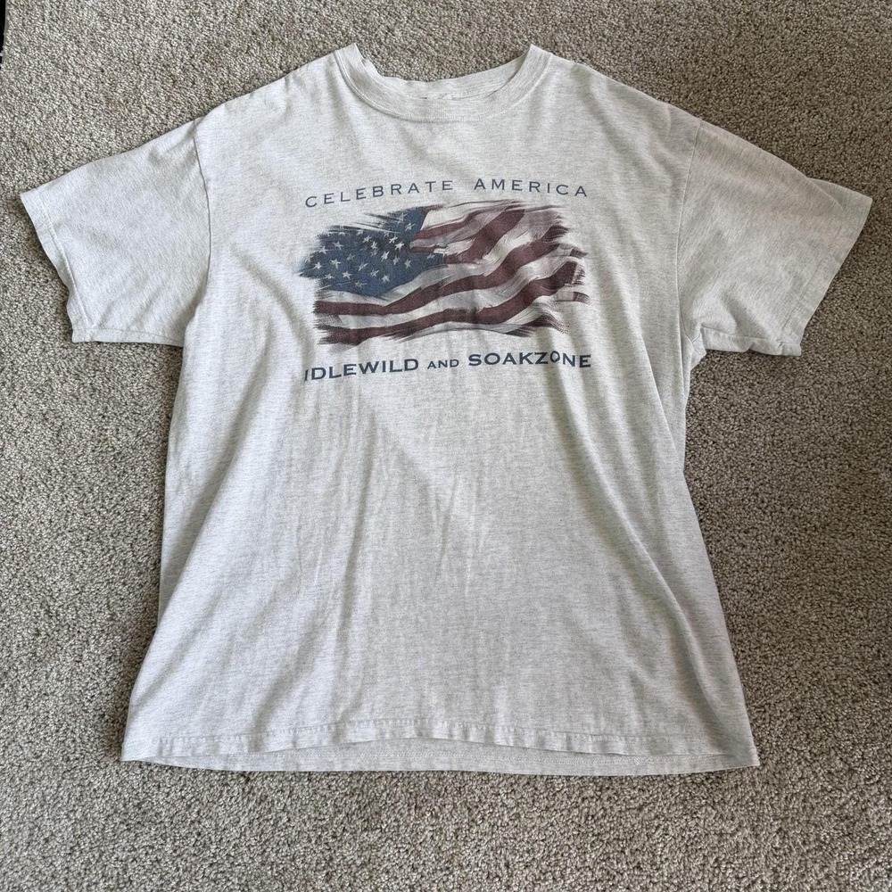 Y2K Idlewild And SoakZone Amusement Park Shirt Mens XL Gray USA Flag Tee T-Shirt